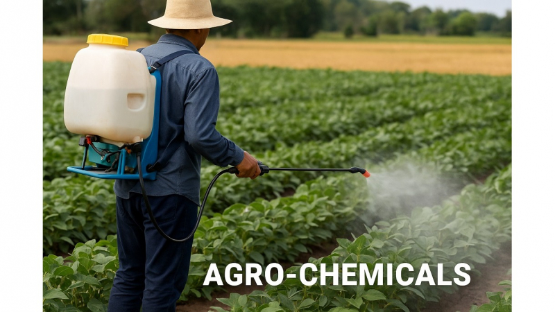Agro-Chemicals Market Entry Strategy for CARICOM Region
